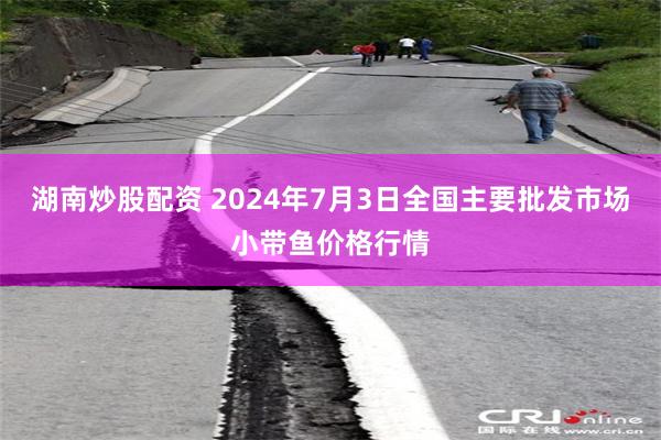 湖南炒股配资 2024年7月3日全国主要批发市场小带鱼价格行情