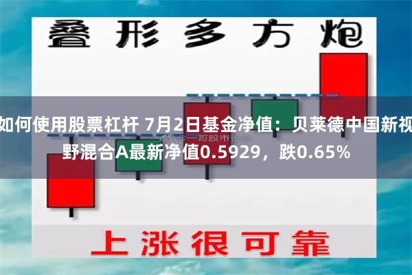 如何使用股票杠杆 7月2日基金净值：贝莱德中国新视野混合A最新净值0.5929，跌0.65%