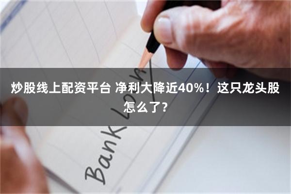 炒股线上配资平台 净利大降近40%！这只龙头股怎么了？