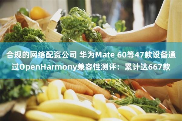 合规的网络配资公司 华为Mate 60等47款设备通过OpenHarmony兼容性测评：累计达667款