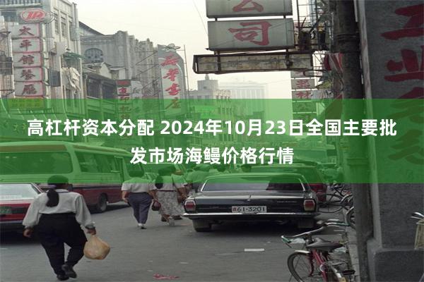 高杠杆资本分配 2024年10月23日全国主要批发市场海鳗价格行情