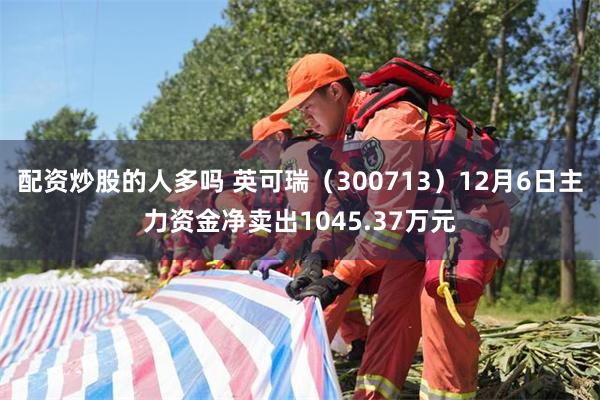 配资炒股的人多吗 英可瑞（300713）12月6日主力资金净卖出1045.37万元