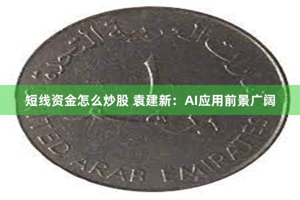 短线资金怎么炒股 袁建新：AI应用前景广阔