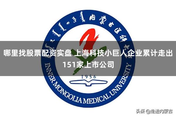 哪里找股票配资实盘 上海科技小巨人企业累计走出151家上市公司