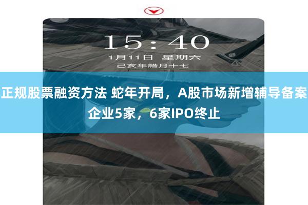 正规股票融资方法 蛇年开局，A股市场新增辅导备案企业5家，6家IPO终止